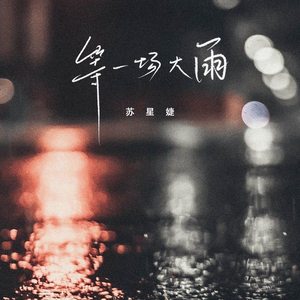 等一场大雨 (DJ版)