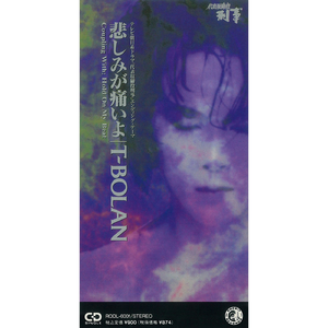 悲しみが痛いよ