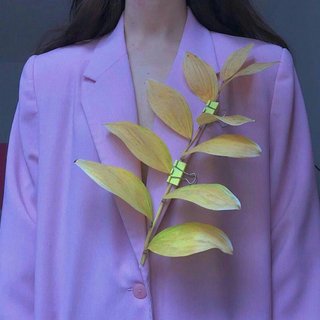 旧时光：写一本名为别来无恙的诗集寄往青春