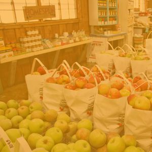 微妙的购物中心心情