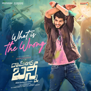 What is the wrong (From "Ramnagar Bunny") (Original Motion Picture Soundtrack)