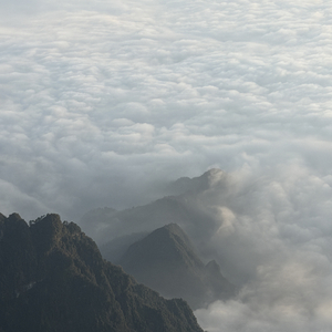 苏轼理解李白的伤