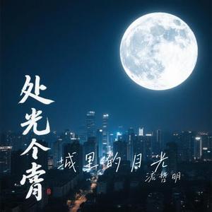 城里的月光 (Cover 许美静)