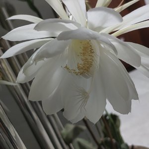 离别太久不适合重逢