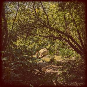 Lullaby for a Songbird