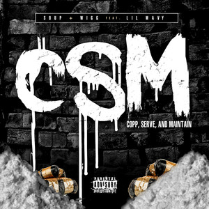 CSM (Copp, Serve, and Maintain)