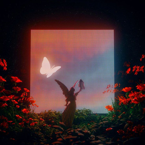 Vận Mệnh (Remix)