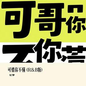 可惜你不懂 (R&B版) (Cover 王奕承)