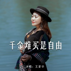 千金难买是自由