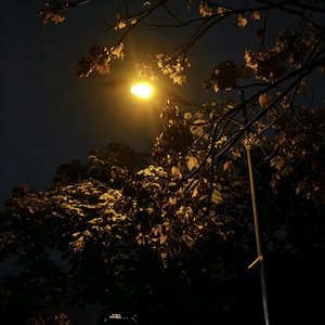 2. 成年人的情绪，只敢留在深夜