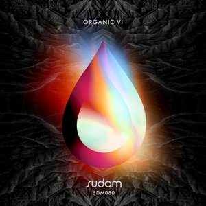 I Did It (Original Mix)