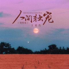 人间独宠 (烟嗓版)(DJ沈念版)