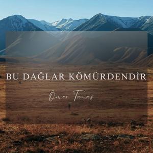 Bu Dağlar Kömürdendir