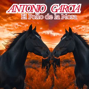 Quiero Volver a Mi Llano