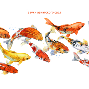 Спокойствие