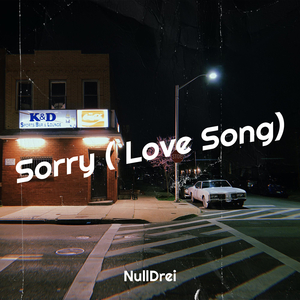 Sorry ( Love Song)