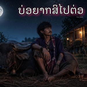 บ่อยากสิไปต่อ