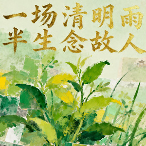 一场清明雨半生念故人