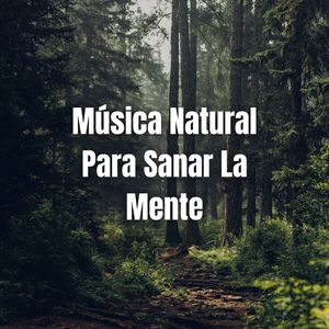 Mantra para Meditar