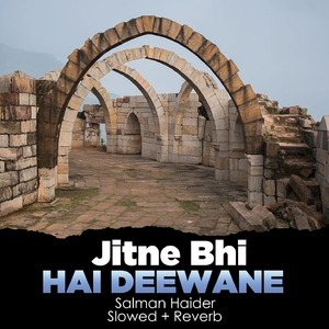 Jitne Bhi Hai Deewane Lofi