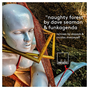 Naughty Forest (Nicolas Maseyeff Remix)