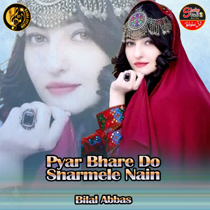 Pyar Bhare Do Sharmele Nain (1)