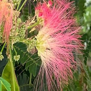 Дозволь мені (Radio Edit)