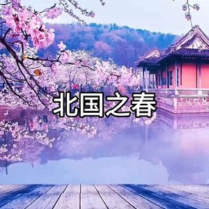北国之春（2501版）