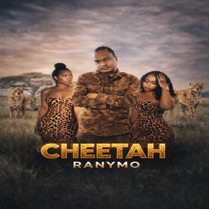Cheetah