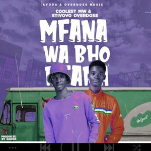 Mfana wabho (feat. Stevovo)