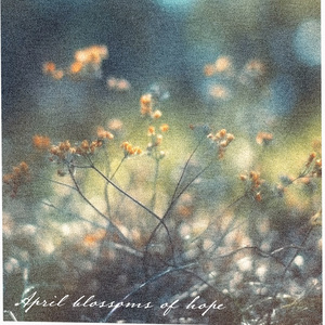 April Blossoms of Hope