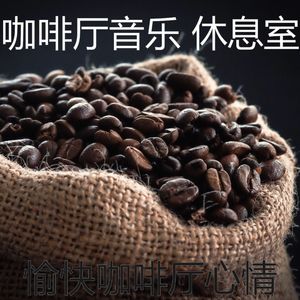 优美咖啡厅器乐