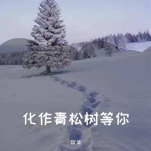 化作青松树等你