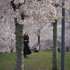 Ps bakom stängda dörrar 3 ed. kapitel 3 part 2