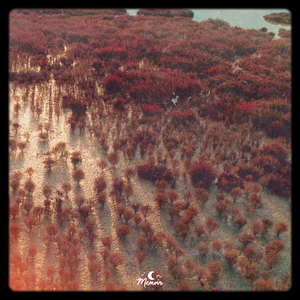 it’s ok, i only have tears in my third eye