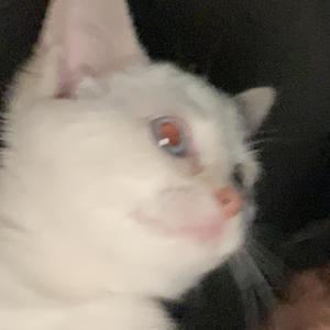 you make me feel lonely