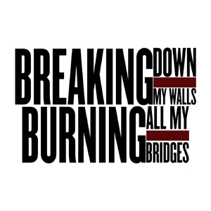 Breaking Down My Walls and Burning All My Bridges