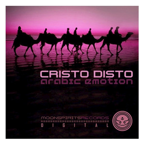 Info Stealer (Cristo Disto Remix)