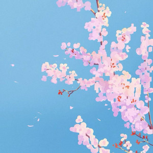 春日狂想 (洛克王国BGM)