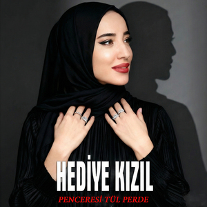 Penceresi Tül Perde