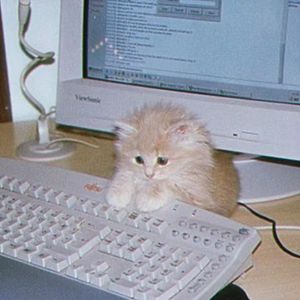 【Free】"Fine" Lil Mosey Type Beat