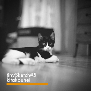 tinySketch #5