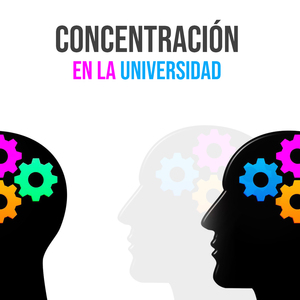Concentración En La Universidad