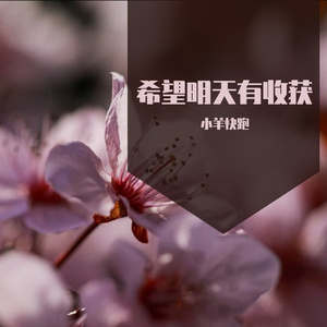 希望明天有收获1