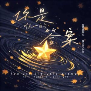 你是我唯一的答案