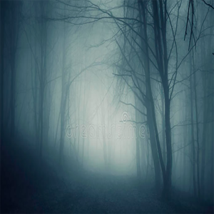 【FREE】“迷幻丛林” Drill Type Beat