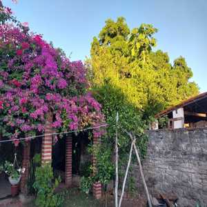 Parabéns por seu aniversário