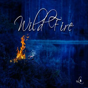 Wild Fire (Original mix)