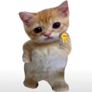 海月（混音版.wav