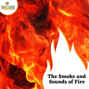 Romantic Snow Shower